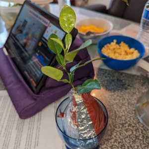 MaryAnn added a photo of their purchase