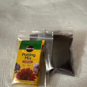 Wendy adicionaram uma foto da sua compra