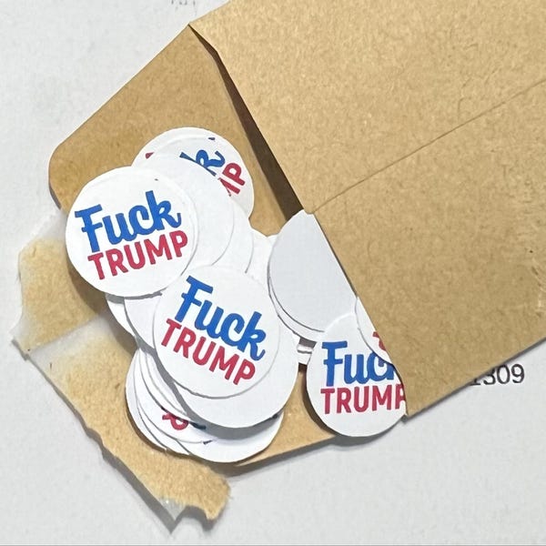 If RFK Takes My ________ Sticker - FREE SHIPPING!!! - Etsy