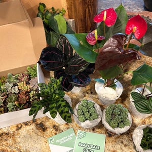 Kandace added a photo of their purchase