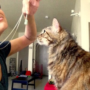 Inactive account added a photo of their purchase