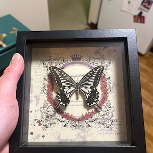 Sophie added a photo of their purchase