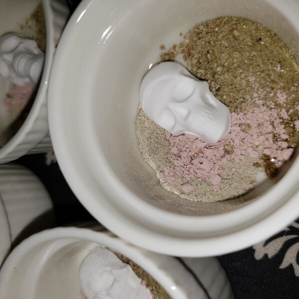 Printable Goose Egg Incubation Calendar Etsy