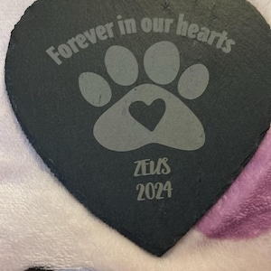 Molly added a photo of their purchase