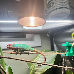 Corey added a photo of their purchase