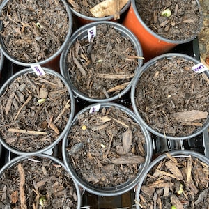 Jennifer ha aggiunto una foto del proprio acquisto