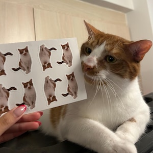 Song added a photo of their purchase