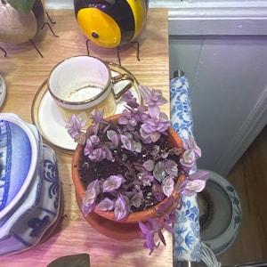 Marie added a photo of their purchase