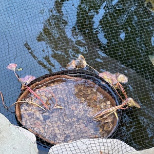 Elizabeth ha añadido una foto de su compra