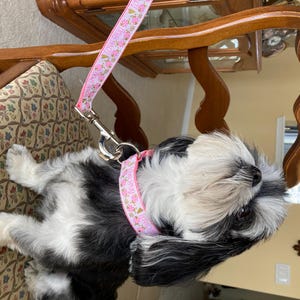 P added a photo of their purchase