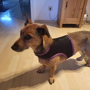 Sarah added a photo of their purchase