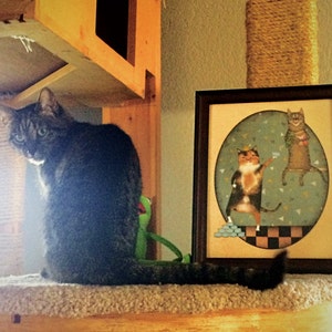 Hannah added a photo of their purchase