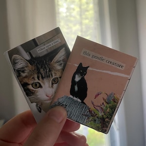 Sam added a photo of their purchase