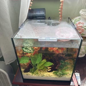 Atley added a photo of their purchase