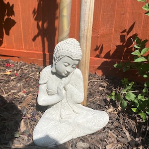 Paula added a photo of their purchase