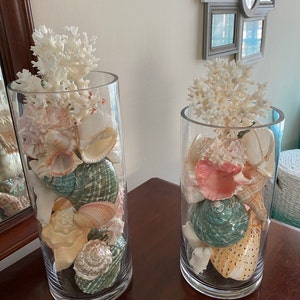 Beach Decor Seashells, Coral and Starfish Arrangements 8, 10 and 12 