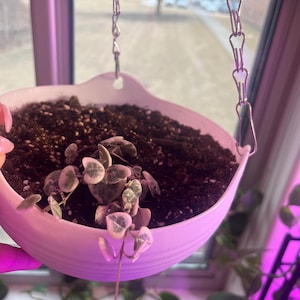 Brielle added a photo of their purchase