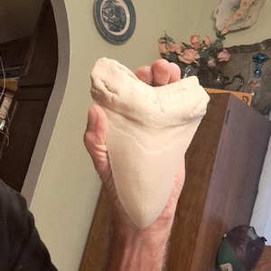 William added a photo of their purchase
