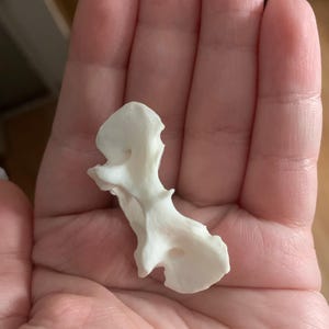 Anna adicionaram uma foto da sua compra