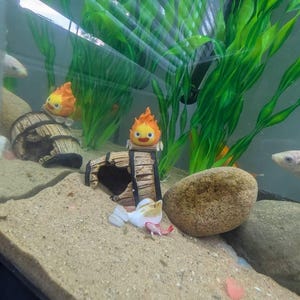Ryan added a photo of their purchase