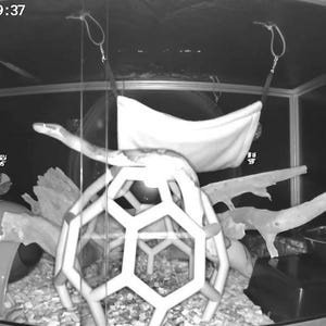 LaDonna ha añadido una foto de su compra