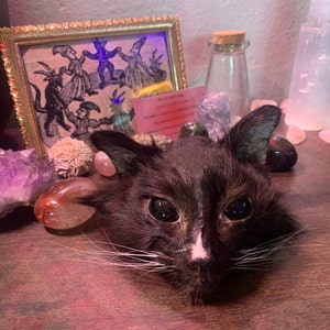 Sidney added a photo of their purchase