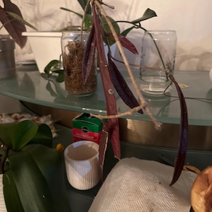 Debbie added a photo of their purchase