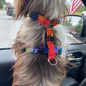 Lindsay added a photo of their purchase