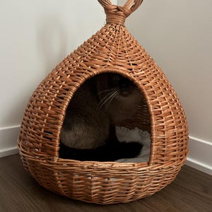 Rose added a photo of their purchase