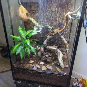 Andre added a photo of their purchase