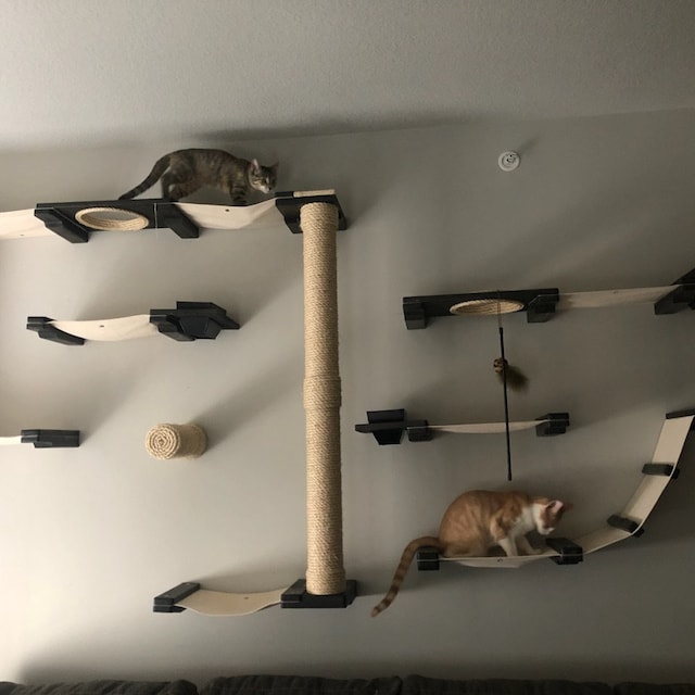 Cat Condo Cat Wall Furniture Cat Scratching Post Wall Mount Etsy CatastrophiCreations Gardens Set for Cats Multiple-Level Wall Mounted Scrat