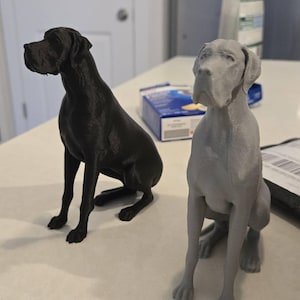 Lauren added a photo of their purchase