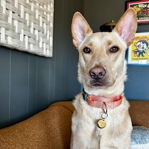 Sam added a photo of their purchase