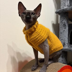 James added a photo of their purchase