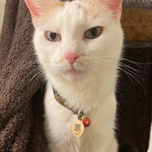 Diane added a photo of their purchase