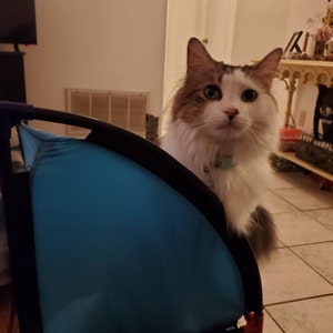Vanessa added a photo of their purchase