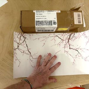Jane added a photo of their purchase