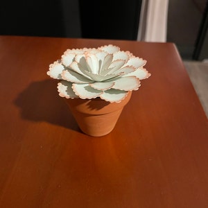 Ingrid added a photo of their purchase