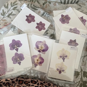 Sylvie added a photo of their purchase