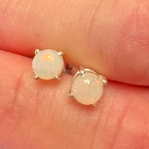 Lisa added a photo of their purchase