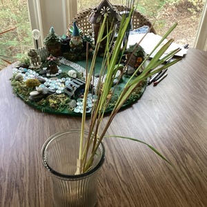 Kay added a photo of their purchase