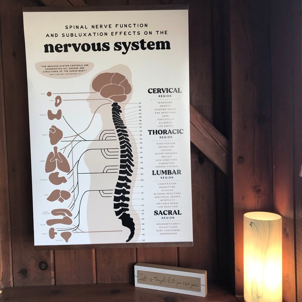 Chiropractic ANS Chart + Nervous System Poster | Subluxation Effects - Etsy