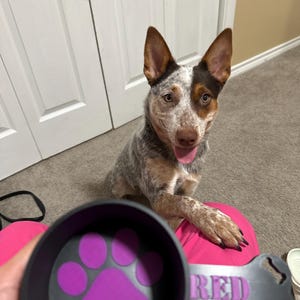 Emily added a photo of their purchase