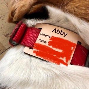 Non Conductive ID Tag for Invisible Fence Collar - for Use on ...