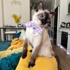 Pet Supplies : Sushi Cat Collar With Onigiri Bell
