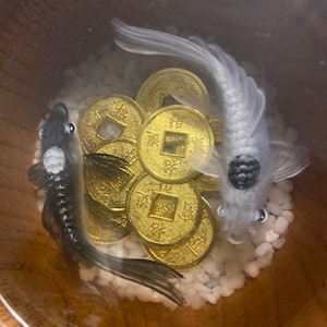 Elizabeth added a photo of their purchase