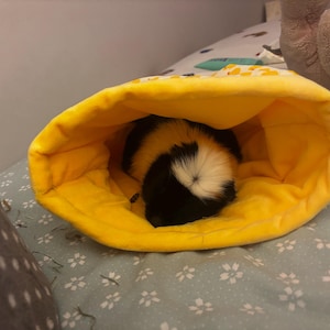 Sophie added a photo of their purchase