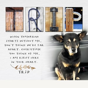 Mary added a photo of their purchase