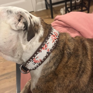 Paloma heeft een foto van zijn/haar aankoop toegevoegd