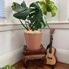 Bathroom Wall Decor Vine